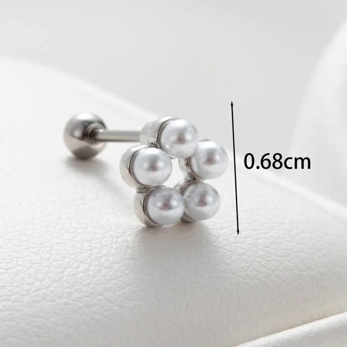 1 Piece Simple Series Titanium Steel Silver Color Women's Stud Earrings 